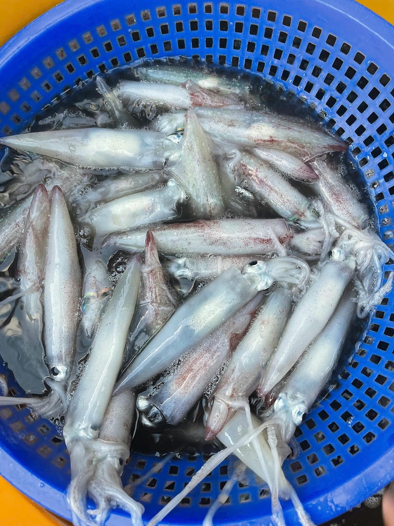 Nguyên liệu chuẩn cho món mực trứng rim mắm đường