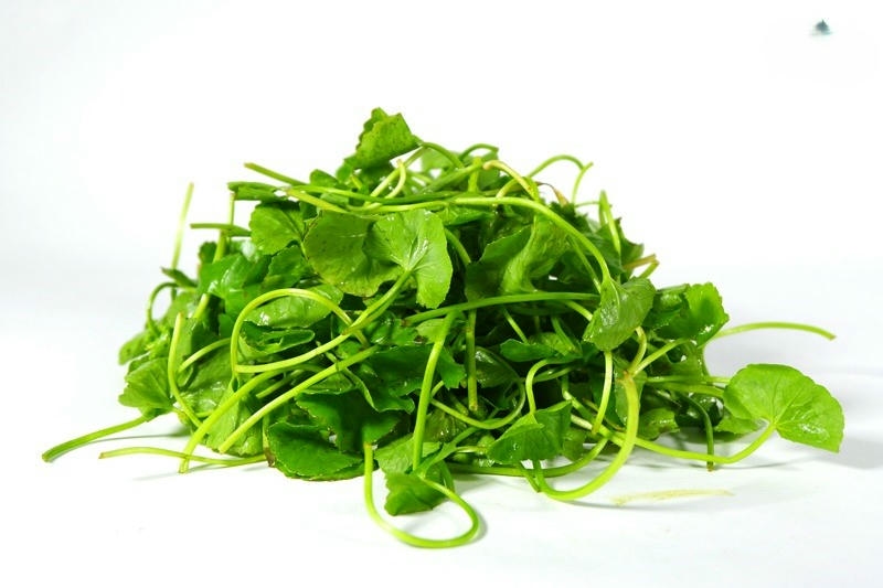Nguyên liệu chuẩn làm nộm rau má chay